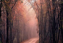 乐鱼在线娱乐-欧冠折戟震动西甲！三雄争霸上演最终绞杀