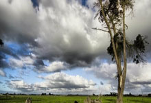 乐鱼体育-寒夜淬火！西北狼银川队绝境突围钢铁意志撕裂晋级之路