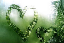 乐鱼体育官网-佛国旋风vs天竺烈焰：亚冠赛场上的咖喱与椰浆之战