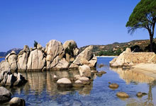 乐鱼体育-寒夜淬火！西北狼银川队绝境突围钢铁意志撕裂晋级之路